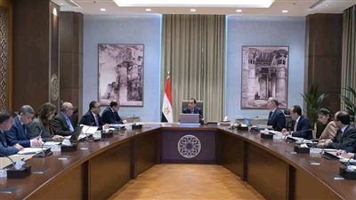 رئيس الوزراء يتابع عددا من ملفات العمل المشتركة بين وزارتي المالية والبترول