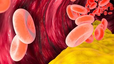 ما حقيقة الكوليسترول؟ وما مدى خطورته على الجسم؟