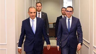 تفاصيل الاجتماع التنسيقي بين وزارتى الخارجية والهجرة والاستثمار لدعم الاقتصاد الوطنى