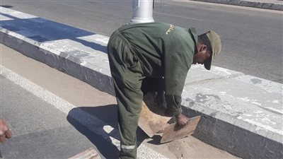 بالصور.. حملة موسعة لنظافة الشوارع وزيادة المساحات الخضراء بمدينة الأقصر