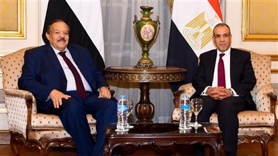  «عبدالعاطي» يؤكد موقف مصر الداعي لاحترام سيادة ووحدة وسلامة أراضي السودان