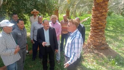 الزراعة: لجان طوارئ خلال أيام العيد لمراقبة الآفات الزراعية وخصوصًا الجراد