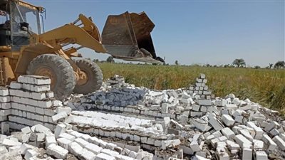 المنيا تواصل حملاتها لإزالة التعديات على الأراضي الزراعية خلال عيد الفطر