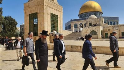  تنسيقية شباب الأحزاب تدين قصف الاحتلال الإسرائيلي لعيادة «الأونروا» واقتحام المسجد الأقصى 