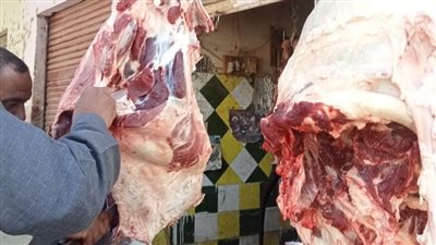 ضبط كمية لحوم مذبوحة خارج المجازر الحكومية في الأقصر (صور)