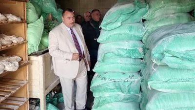 في أول أيام العيد.. حملة تموينية للتفتيش على الأسواق في دمياط 