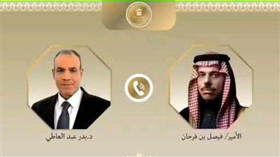 وزير الخارجية يبحث مع نظيره السعودي تحركات اللجنة «العربية-الإسلامية» بشأن خطة التعافي المبكر بغزة