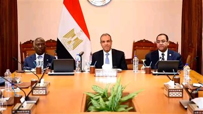 وزير الخارجية: مصر تعتزم دمج الرابطة الأفريقية للإدارة العامة بالاتحاد الأفريقي