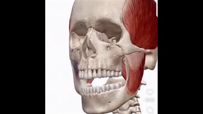 اختبار بسيط يكشف عن شيخوخة الوجه المبكرة