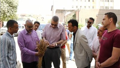 محافظ أسوان يتفقد صومعة القمح بالجوزيرة.. ويوجه بتقديم تسهيلات للمزارعين