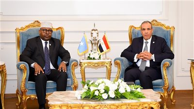 وزير الخارجية يلتقي نظيره الصومالي ويؤكد دعم مصر الكامل للمؤسسات الوطنية بالصومال