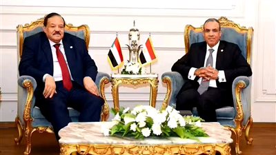 تفاصيل لقاء وزير الخارجية بنظيره السوداني على هامش المؤتمر الوزاري لعملية الخرطوم