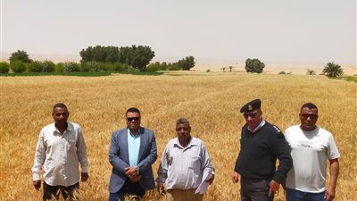 بالصور.. مدينة أرمنت تشن حملة لاسترداد أراضي أملاك الدولة بالأقصر