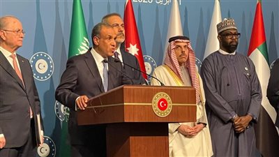 وزير الخارجية يشارك في اجتماع موسع للجنة الوزارية العربية الإسلامية حول غزة