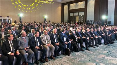 رئيس جامعة المنيا يشارك فى المؤتمر الفرنسى المصرى للتعاون العلمى والجامعى