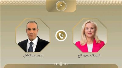 وزير الخارجية يؤكد أهمية تكثيف دعم المجتمع الدولي والمنظمات الأممية لأهالي غزة