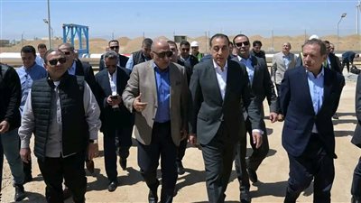 رئيس الوزراء يشدد على ضرورة تصنيع معدات مشروعات طاقة الرياح محليا