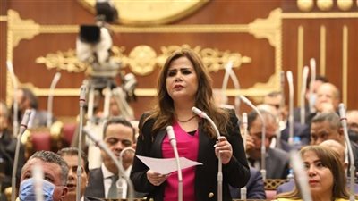 نائبة بمجلس الشيوخ: زيارة الرئيس الإندونيسي لمصر تحول استراتيجي وتؤكد مكانة بلادنا المحورية
