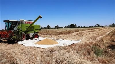 محافظ أسوان: توريد واستلام 3334 طنا من القمح بصومعة المفالسة بإدفو