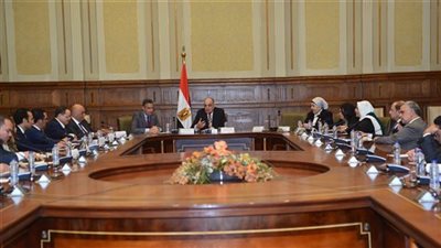وزير التموين أمام مجلس النواب: المشروعات الصغيرة أصبحت ركيزة لبناء اقتصاد شامل وعدالة تنموية حقيقية