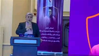 السنباطي: نقدم خدمات الحماية والمساعدة القانونية والنفسية لضحايا ختان الإناث وزواج الأطفال