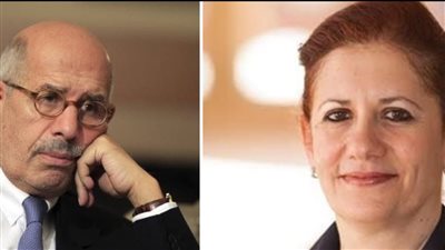 مصرع شقيقة البرادعي وزوجها في حادث سير