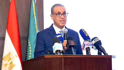 وزير الخارجية: الرئيس السيسي يولي اهتماما بالغا بالعمل الأفريقي المشترك
