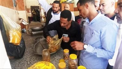 قبل شم النسيم.. إعدام 35 كيلو من الأسماك المملحة فى أسوان