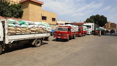 محافظ المنوفية يكشف حصيلة ما تم توريده من محصول القمح حتى الآن 