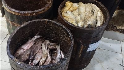 ضبط ٤١٥ كيلو فسيخ وأسماك مملحة غير صالحة للاستهلاك ومجهولة المصدربالاسكندرية