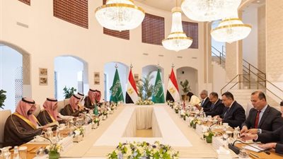  وزير الخارجية يترأس وفد مصر في أعمال لجنة المتابعة والتشاور السياسي مع السعودية
