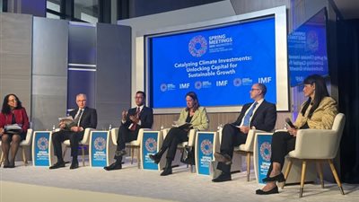 المشاط: مصر قطعت شوطًا كبيرًا في الإصلاحات الهيكلية بقطاع الطاقة المتجدد