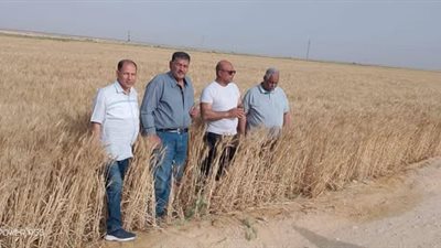 مركز بحوث الصحراء يواصل دعم المزارعين ميدانيًا رغم التحديات المناخية