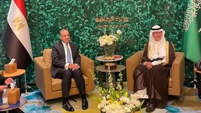 تفاصيل لقاء وزير الخارجية والهجرة بوزير الطاقة السعودي