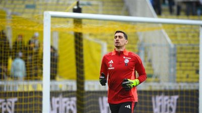  الصربي بيتروفيتش يتألق في فرنسا ويجذب أنظار البريمرليج والكالتشيو