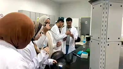 بذكرى تحرير أرض الفيروز.. منظومة التعليم العالي: طفرة غير مسبوقة بسيناء ومدن القناة