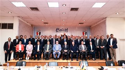 بالإجماع اعتماد فوز ياسر إدريس برئاسة اللجنة الأولمبية المصرية وكامل أعضاء المجلس