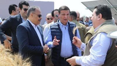 وزير الزراعة ومحافظ الشرقية يفتتحان موسم حصاد القمح 