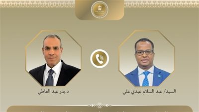 هاتفيًا.. وزير الخارجية يبحث مع نظيره الصومالي عددا من الملفات