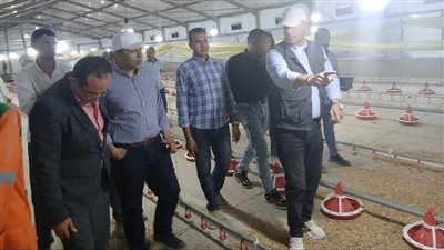 نائب محافظ المنيا: يتفقد مشروع شركة “تيلاج” للإنتاج الداجنى