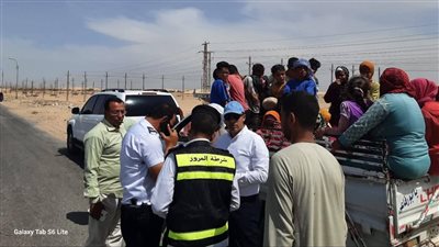 نائب محافظ المنيا يضبط سيارة على الطريق الصحراوى الغربى تقل 35 طفلًا ويحيل الواقعة للنيابة العامة 