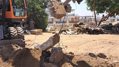 بالصور.. حملة لإزالة حالات التعدى علي الأراضي الزراعية غرب الأقصر