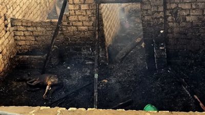 بالصور.. حريق 5 منازل ونفوق 8 رؤس ماشية في حريق صخم بالمنيا