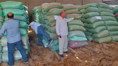 محافظ المنيا: شون وصوامع المحافظة تستقبل 150 ألف طن القمح