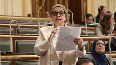 أول تحرك برلمانى حول وقائع غش البنزين وضرر مئات المواطنين