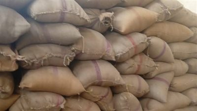 محافظ المنيا: توريد أكثر من 100 ألف طن قمح