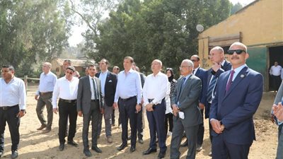 وزير الزراعة ومحافظ القاهرة يتفقدان محطة الزهراء للخيول العربية الأصيلة