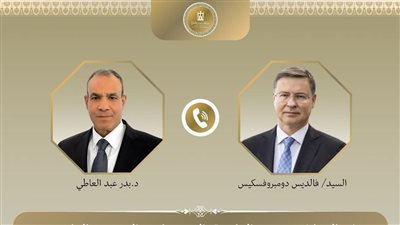 وزير الخارجية يعرب عن تطلعه لتشجيع الاستثمارات الأوروبية بمصر