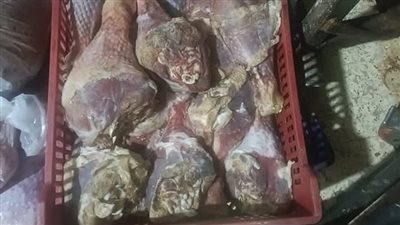 ضبط 18،5 طن لحوم مستوردة وأسماك مملحة فاسدة وغير صالحة للاستهلاك الآدمى بالجيزة