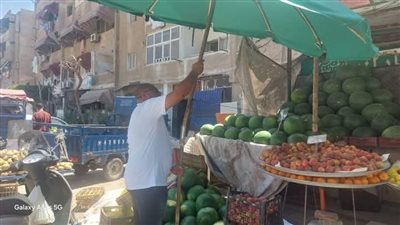 تنفيذ حملات مكثفة لإزالة الإشغالات وفرض الانضباط بمدينة بورفؤاد